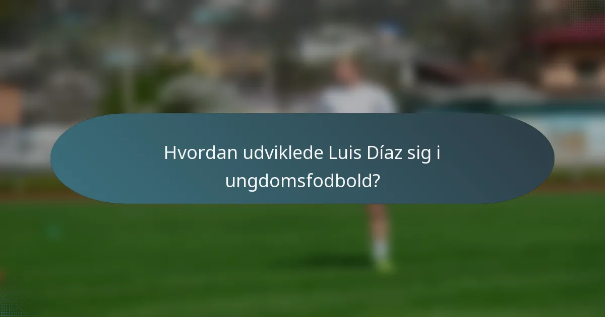 Hvordan udviklede Luis Díaz sig i ungdomsfodbold?